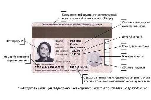 Россиянам показали замену паспорту